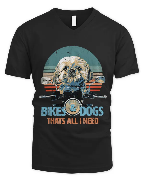 Men's V-Neck T-Shirt