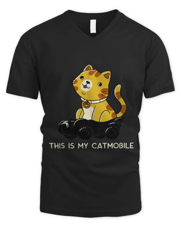 Men's V-Neck T-Shirt