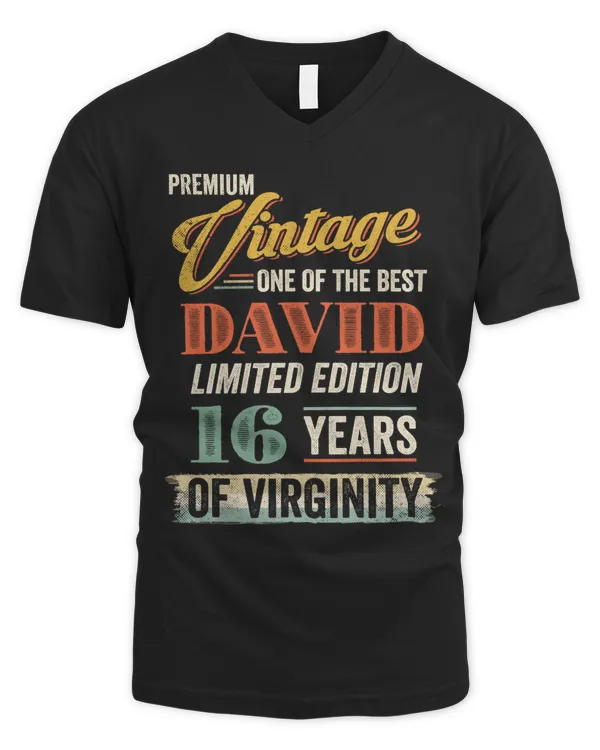 Men's V-Neck T-Shirt