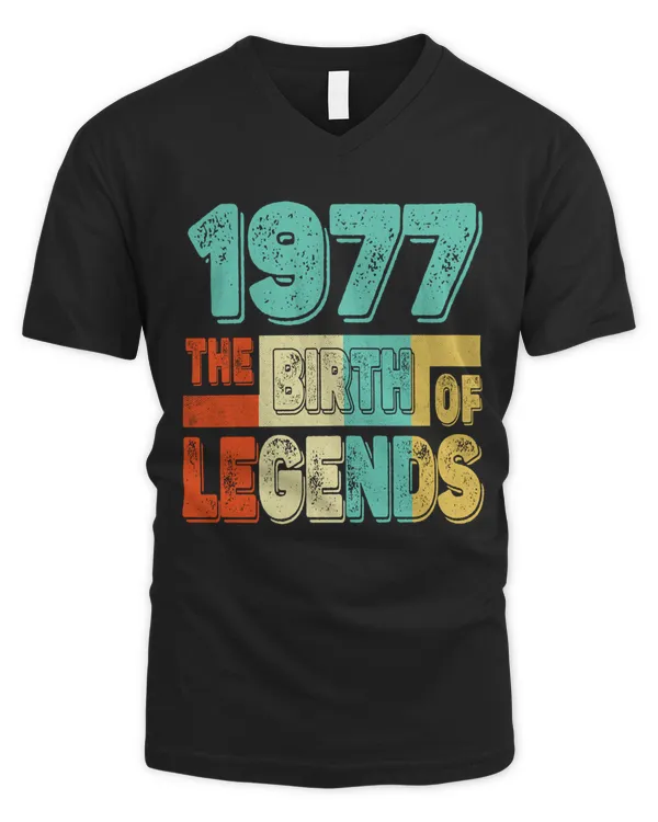Men's V-Neck T-Shirt