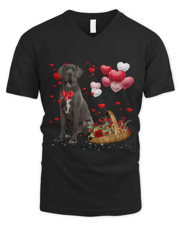 Men's V-Neck T-Shirt