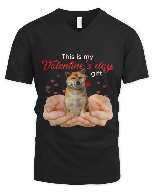 Men's V-Neck T-Shirt