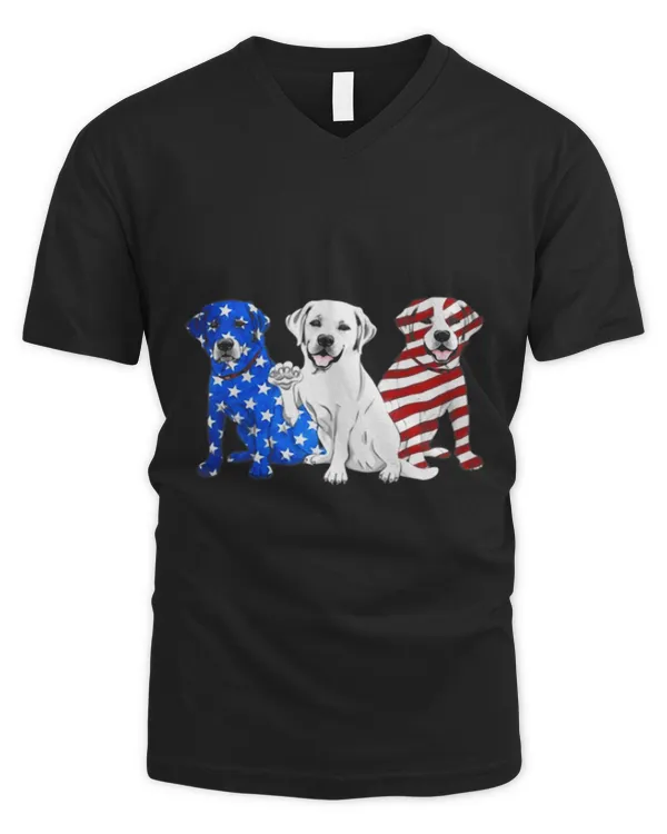 Men's V-Neck T-Shirt