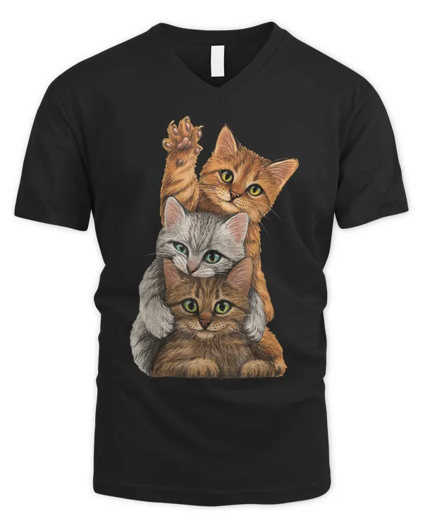 Men's V-Neck T-Shirt