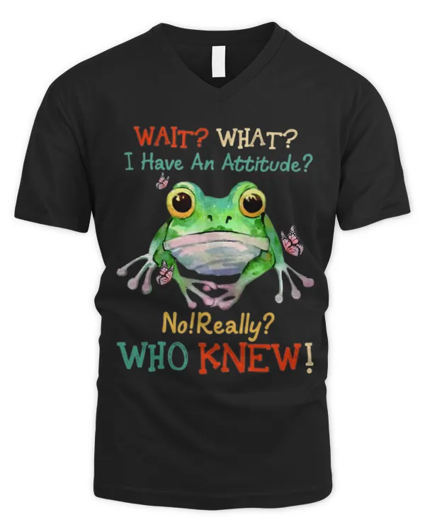Men's V-Neck T-Shirt