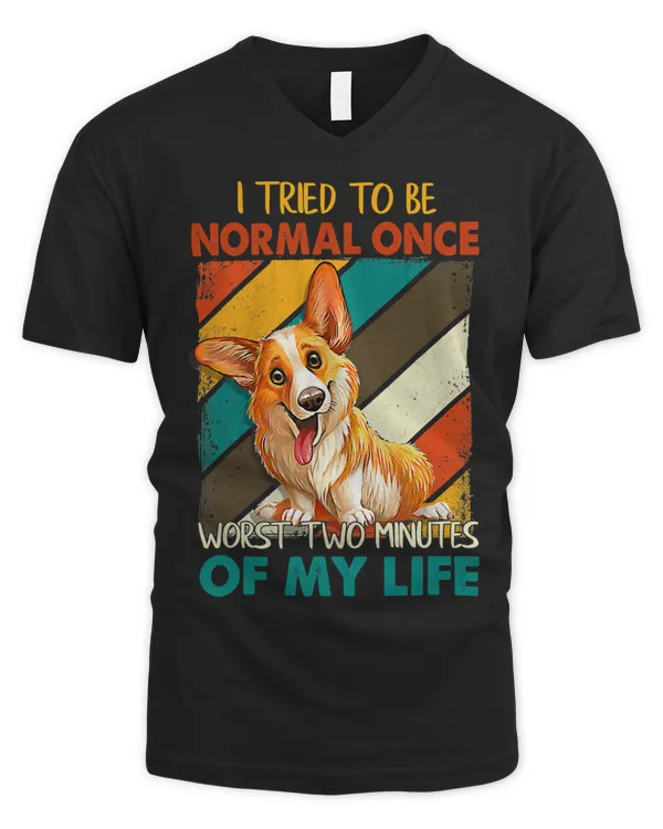 Men's V-Neck T-Shirt