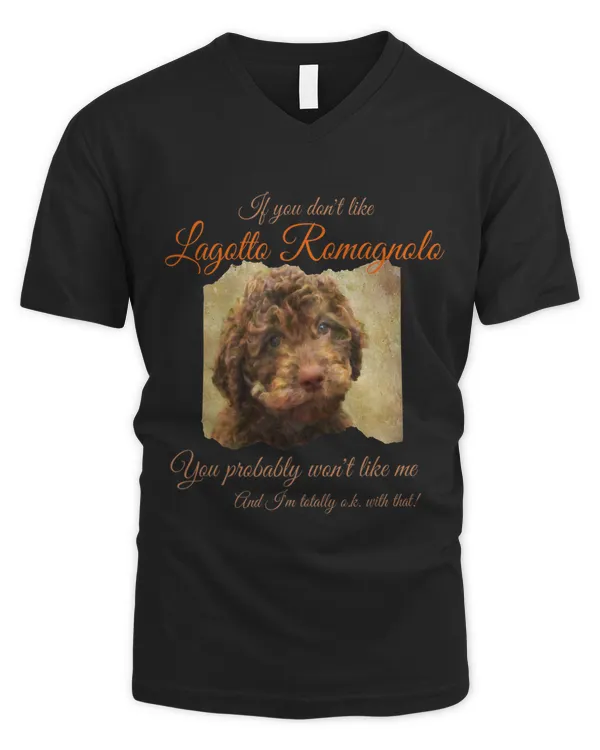 Men's V-Neck T-Shirt