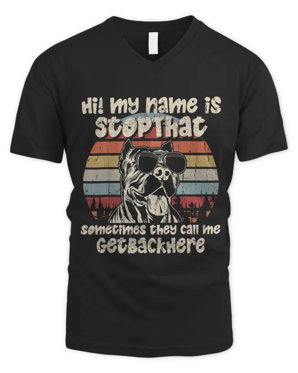 Men's V-Neck T-Shirt
