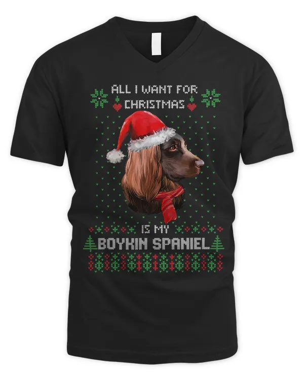 Men's V-Neck T-Shirt