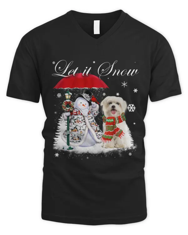 Men's V-Neck T-Shirt