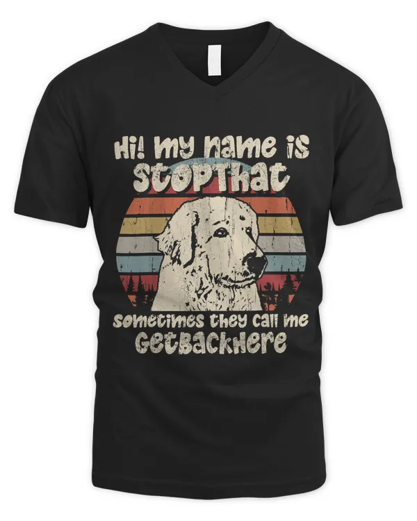 Men's V-Neck T-Shirt