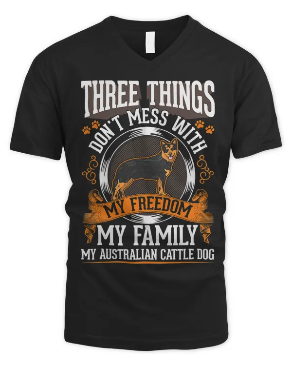Men's V-Neck T-Shirt