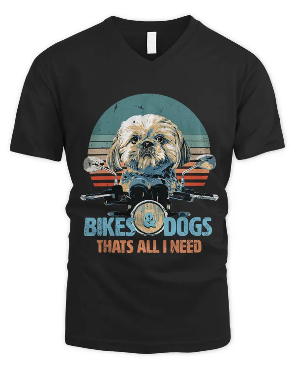 Men's V-Neck T-Shirt