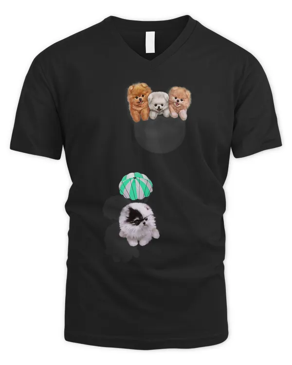 Men's V-Neck T-Shirt