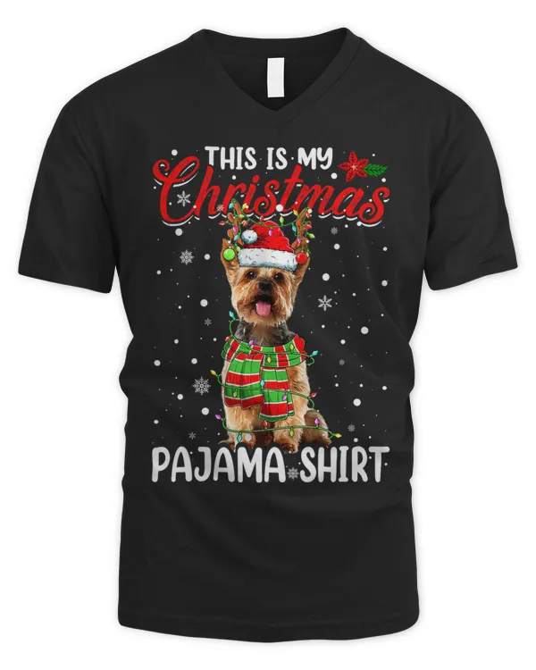 Men's V-Neck T-Shirt