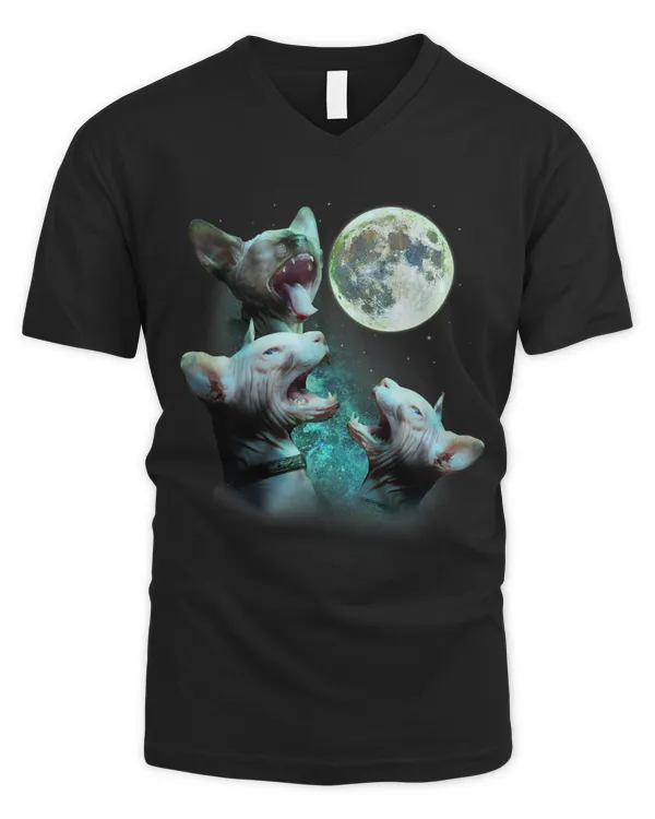 Men's V-Neck T-Shirt