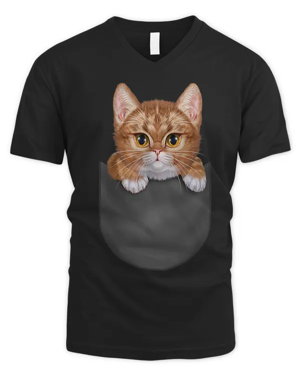 Men's V-Neck T-Shirt