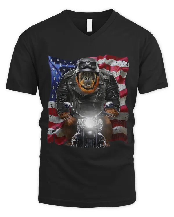Men's V-Neck T-Shirt