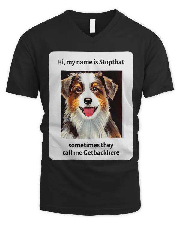 Men's V-Neck T-Shirt