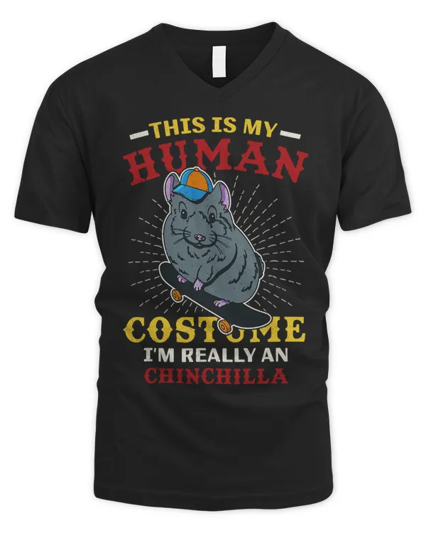 Men's V-Neck T-Shirt