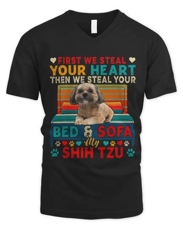 Men's V-Neck T-Shirt