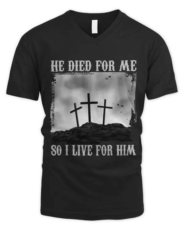 Men's V-Neck T-Shirt