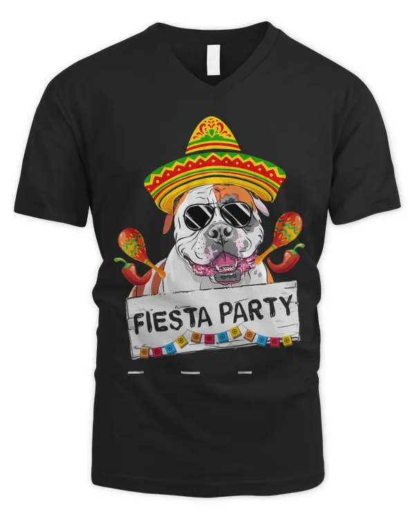 Men's V-Neck T-Shirt