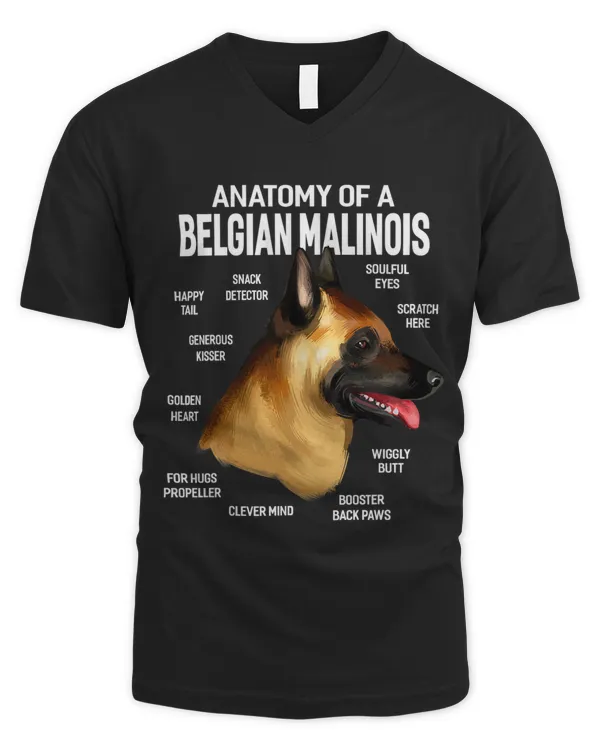 Men's V-Neck T-Shirt
