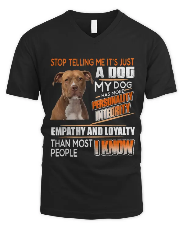 Men's V-Neck T-Shirt