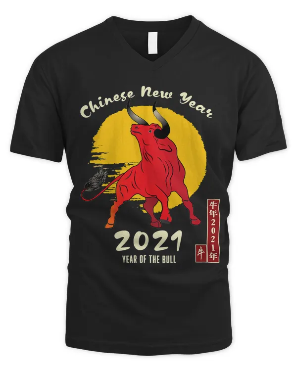 Men's V-Neck T-Shirt