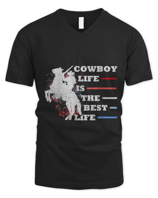Men's V-Neck T-Shirt