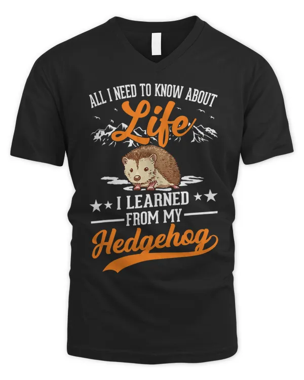 Men's V-Neck T-Shirt