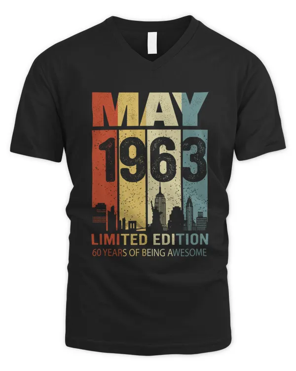 Men's V-Neck T-Shirt