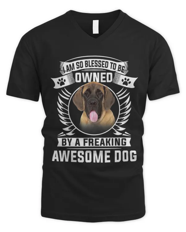 Men's V-Neck T-Shirt