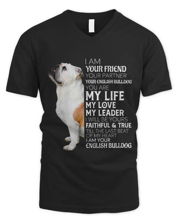 Men's V-Neck T-Shirt