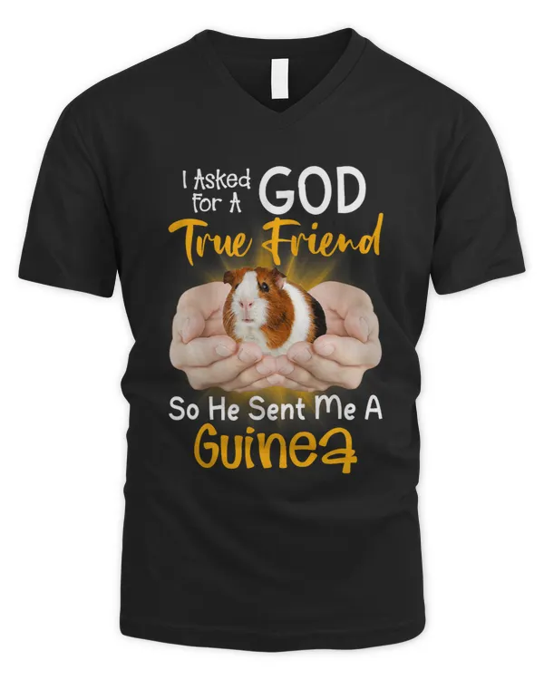 Men's V-Neck T-Shirt