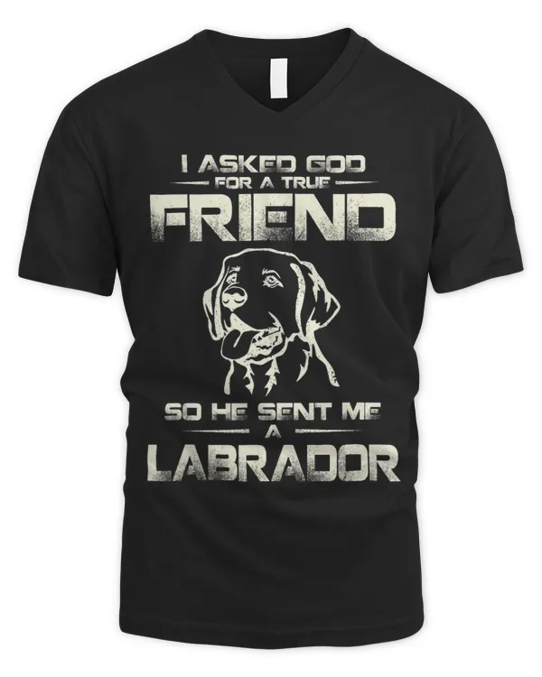 Men's V-Neck T-Shirt