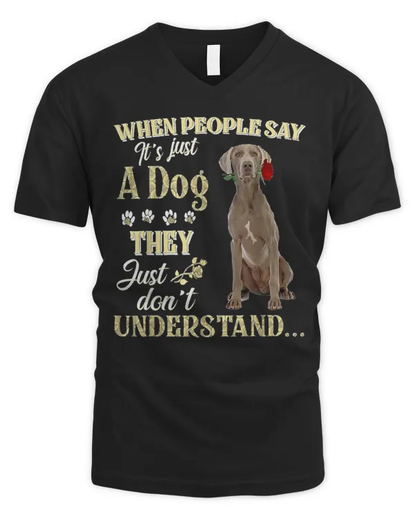 Men's V-Neck T-Shirt