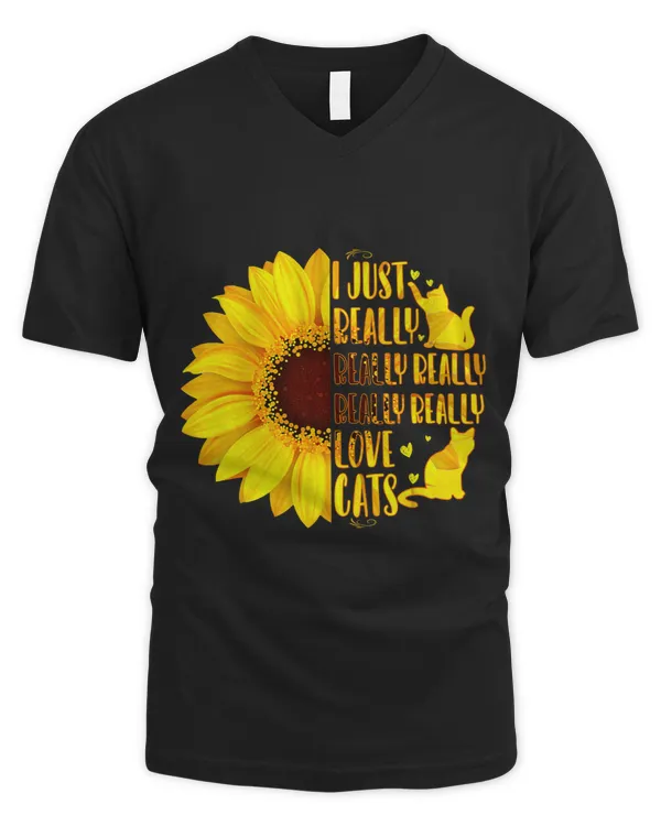 Men's V-Neck T-Shirt