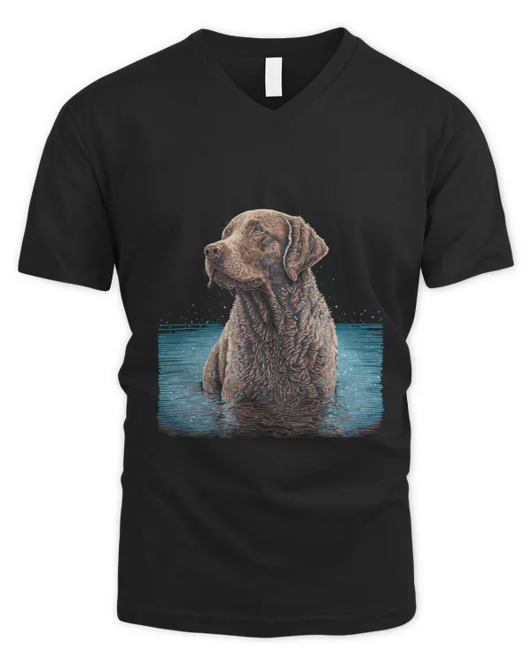 Men's V-Neck T-Shirt