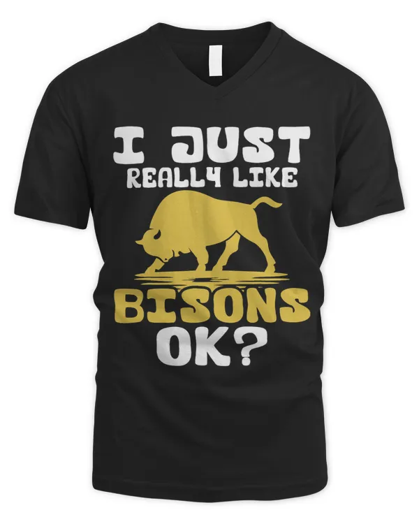 Men's V-Neck T-Shirt