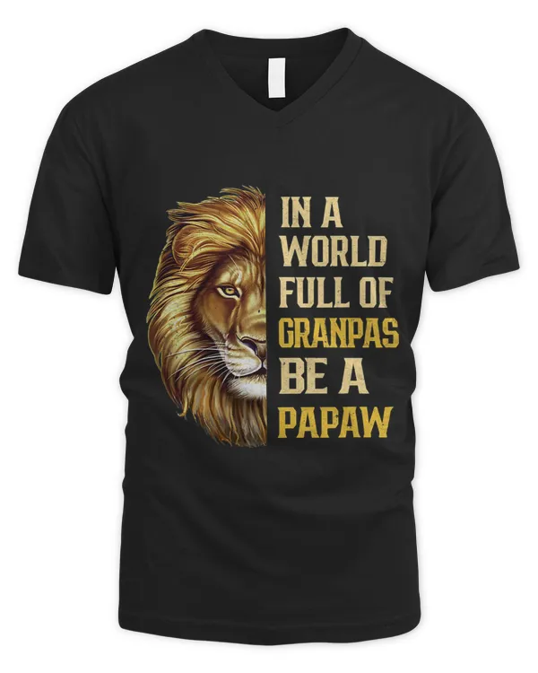 Men's V-Neck T-Shirt