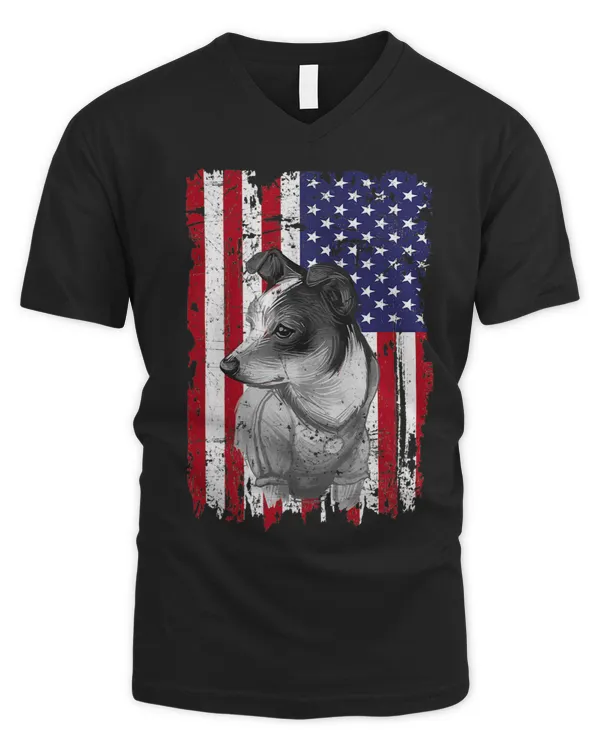 Men's V-Neck T-Shirt
