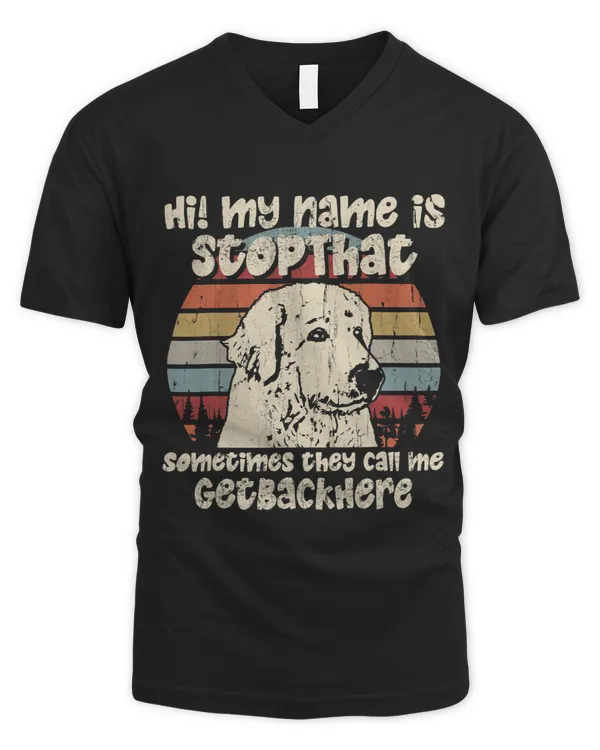 Men's V-Neck T-Shirt