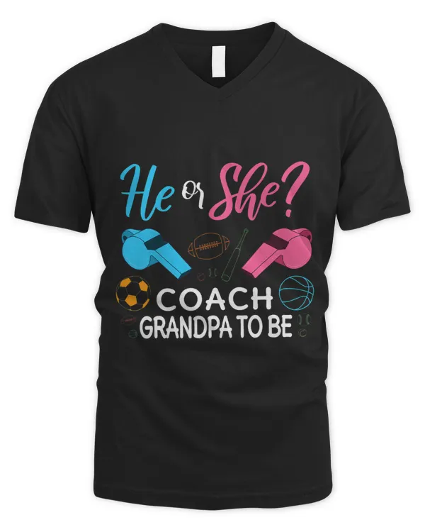 Men's V-Neck T-Shirt