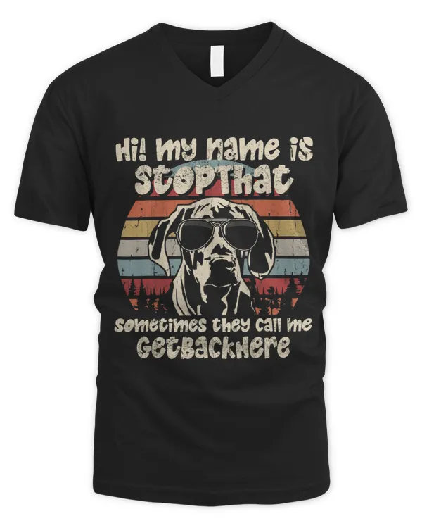 Men's V-Neck T-Shirt