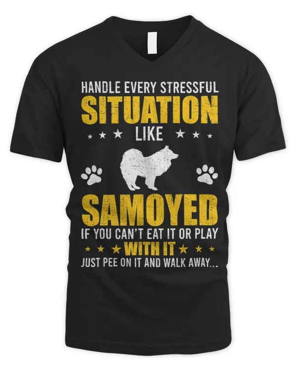Men's V-Neck T-Shirt