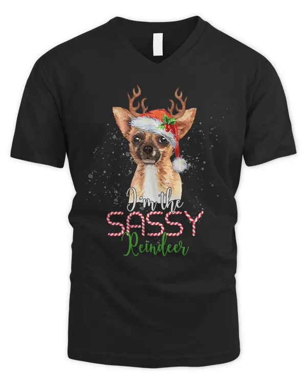 Men's V-Neck T-Shirt