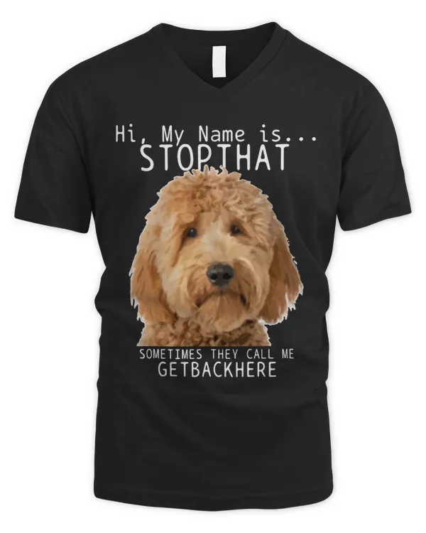 Men's V-Neck T-Shirt