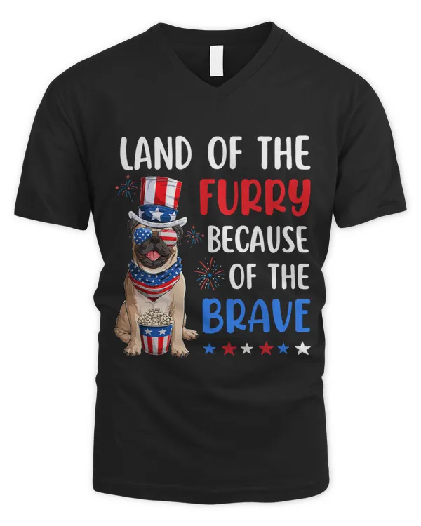 Men's V-Neck T-Shirt